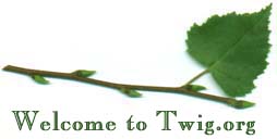 Welcome to twig.org
